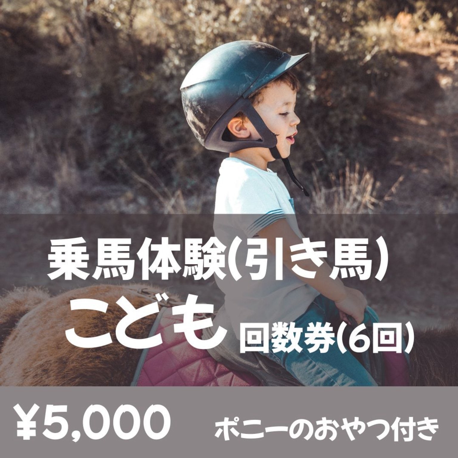 乗馬体験_引き馬　こどもチケット（中学生以下）