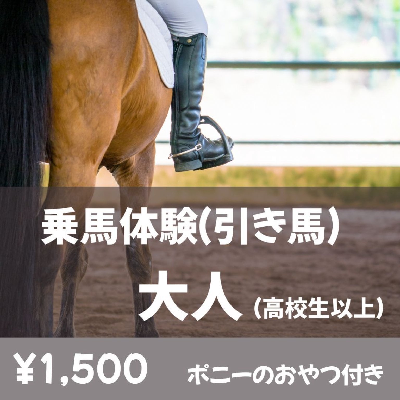 ポニーとヤギのおやつ