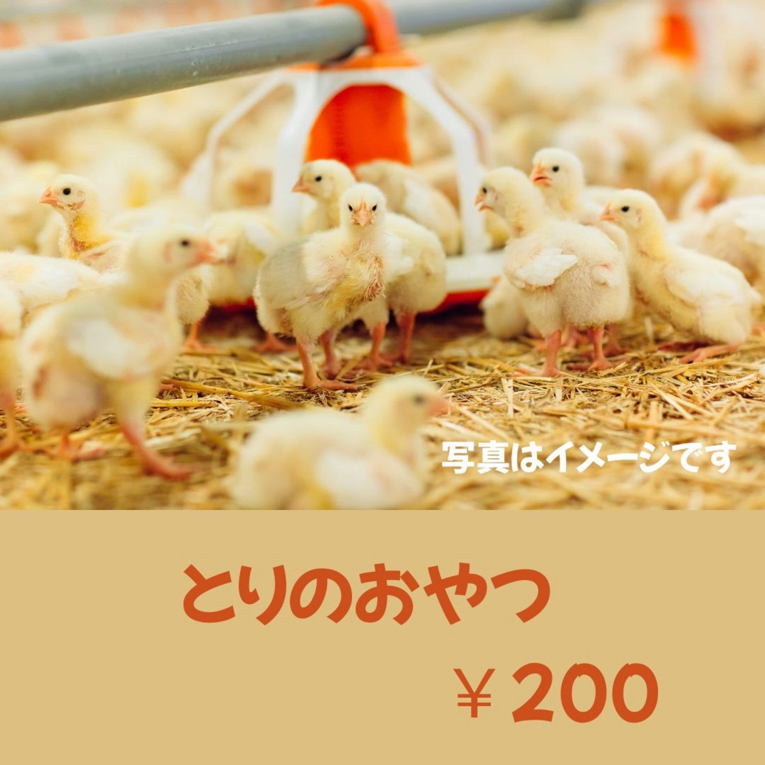 ポニーとヤギのおやつ