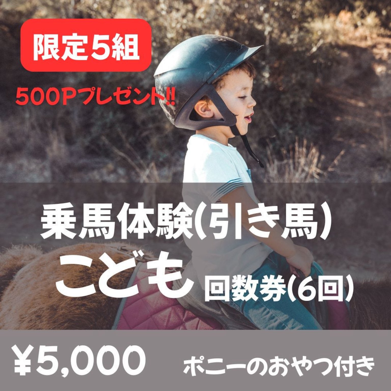 高ポイント還元!‼【回数券】乗馬体験_引き馬　子供チケット(中学生以下) ※1回1,000円分お得♪