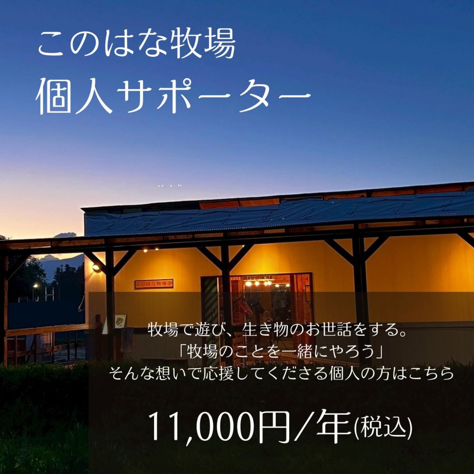 個人サポーター