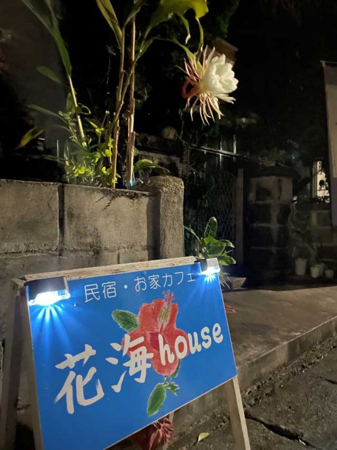 ランチお会計チケットB