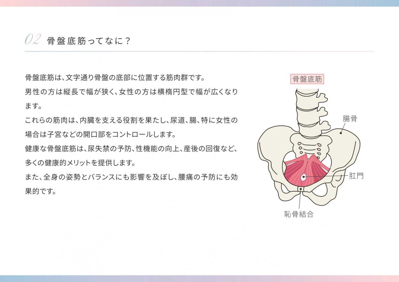 地域唯一！フェムケア☆骨盤底筋訓練マシン【ルネチェア】30分利用