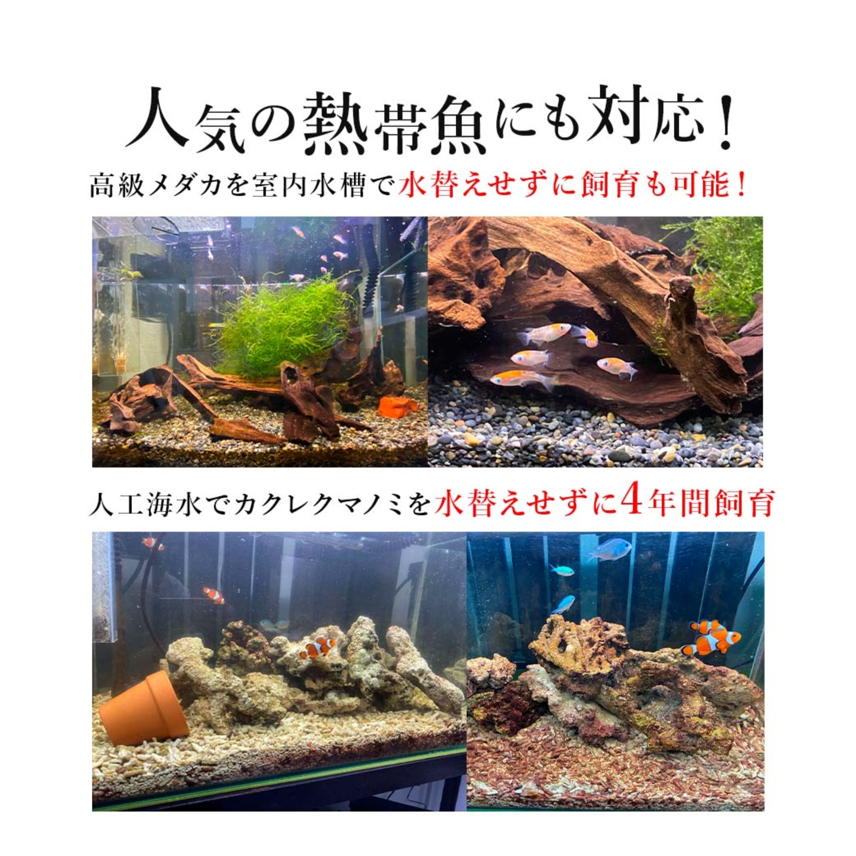 送料無料 】トットパーフェクトフィルターIII-L型 水換え 不要 水槽用