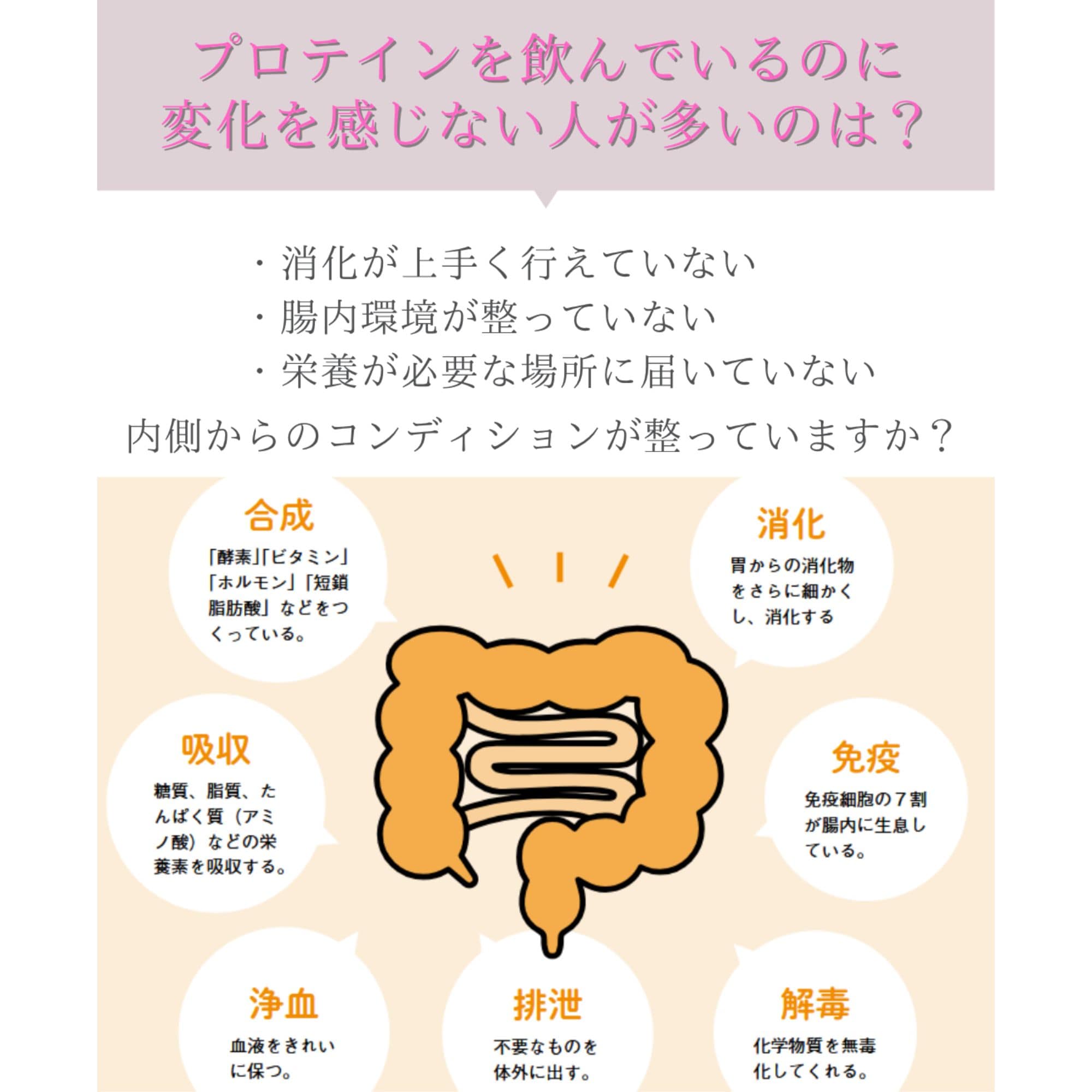 Remie】ビューティーパウダープロテイン/petitjoieおすすめ品