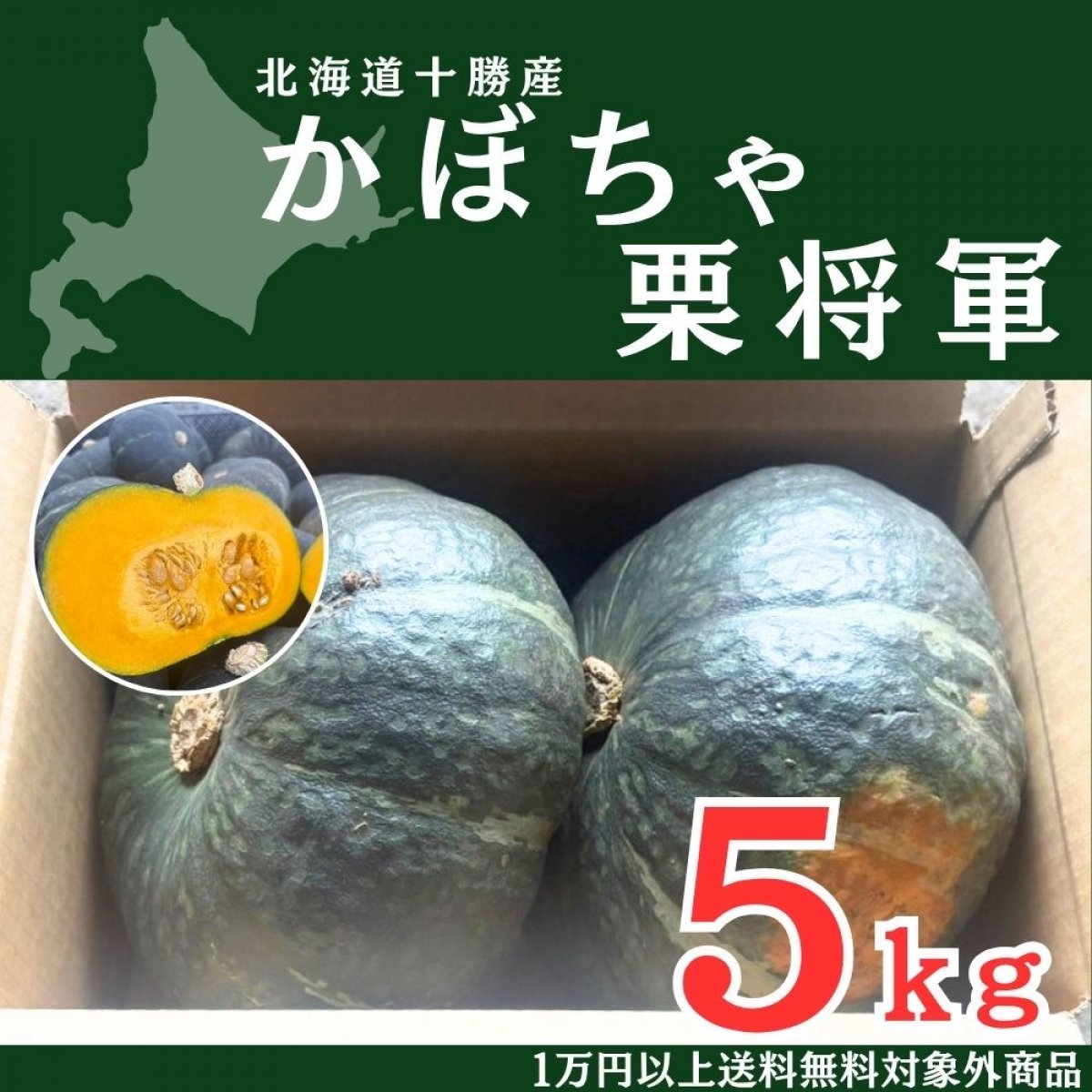 草森ファームの かぼちゃ（栗将軍）セット　5キロ　｜北海道十勝産｜１万円以上送料無料対象外商品
