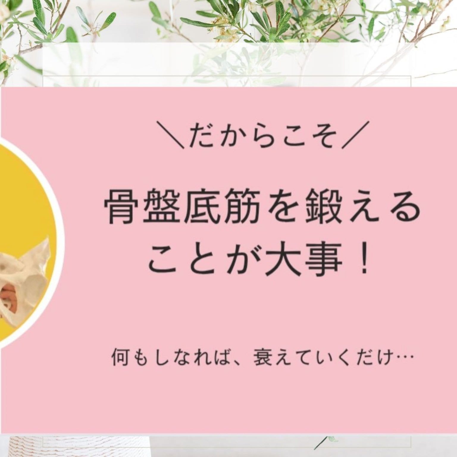 【ひめトレ】オンラインレッスン※簡単解説＆エクササイズ復習２day(30分無料相談付き）