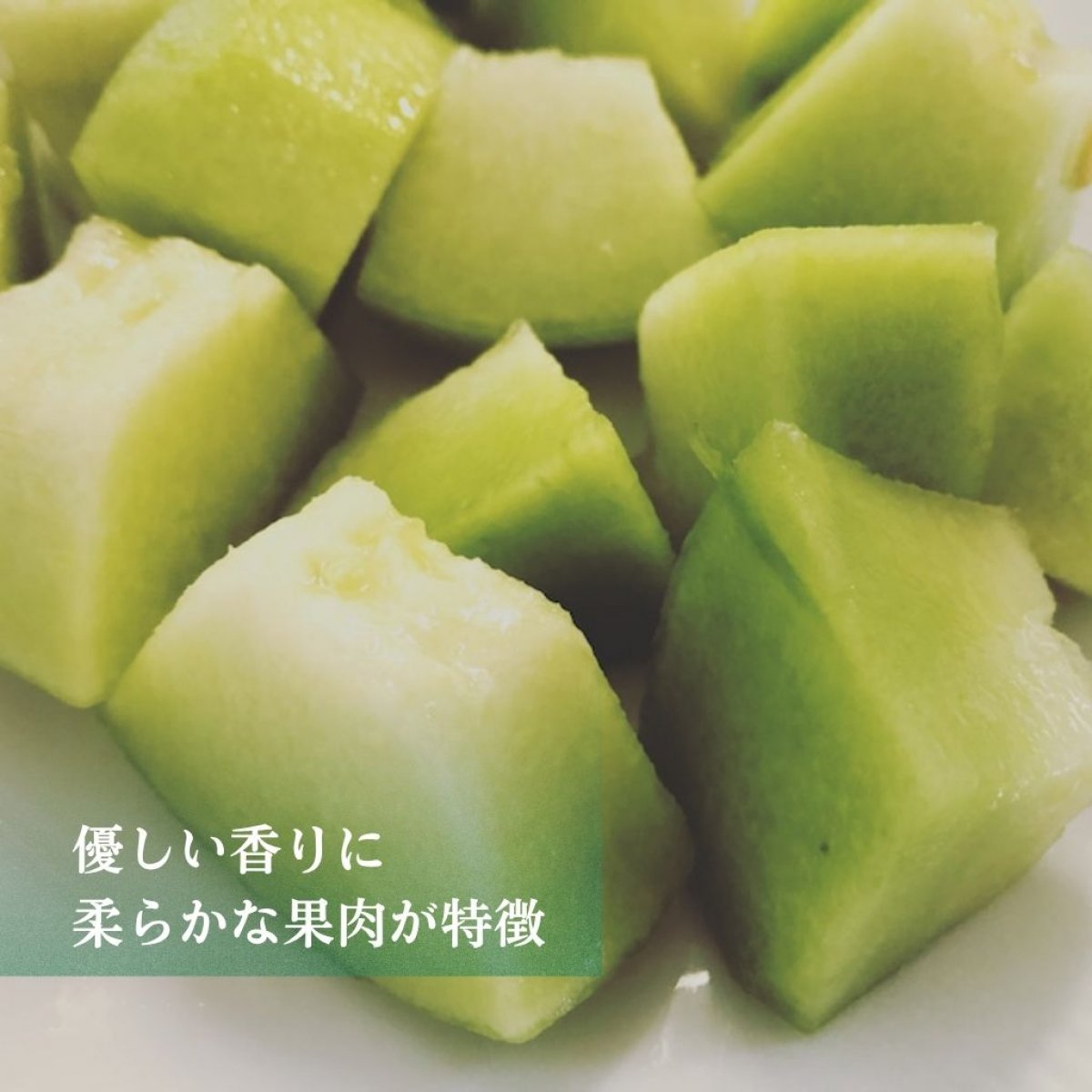 南九州市まるごと体験ステイ 〜メロン農園・農作業・郷土料理・家族の温もりにふれる旅〜