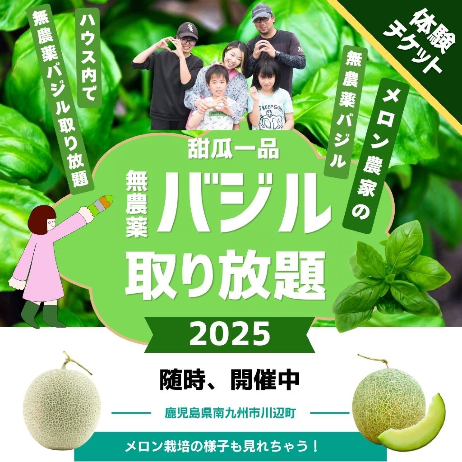バジル摘み放題体験 in 鹿児島・川辺｜農園で無農薬＆安心新鮮バジルを好きなだけ収穫しよう【現地限定】