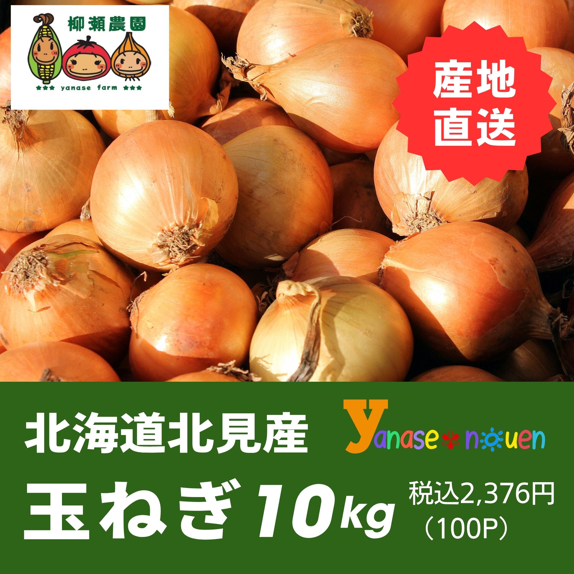 北海道北見産 玉ねぎ10㎏ 箱入り