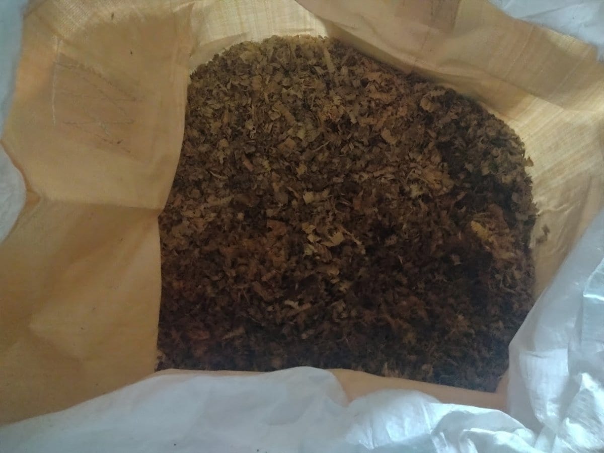 菌ちゃん土づくり用木くず10kg（4mまでの畑・家庭菜園の高畝用）