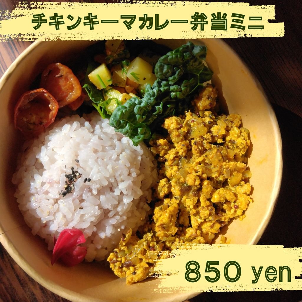 チキンキーマカレー弁当ミニ　