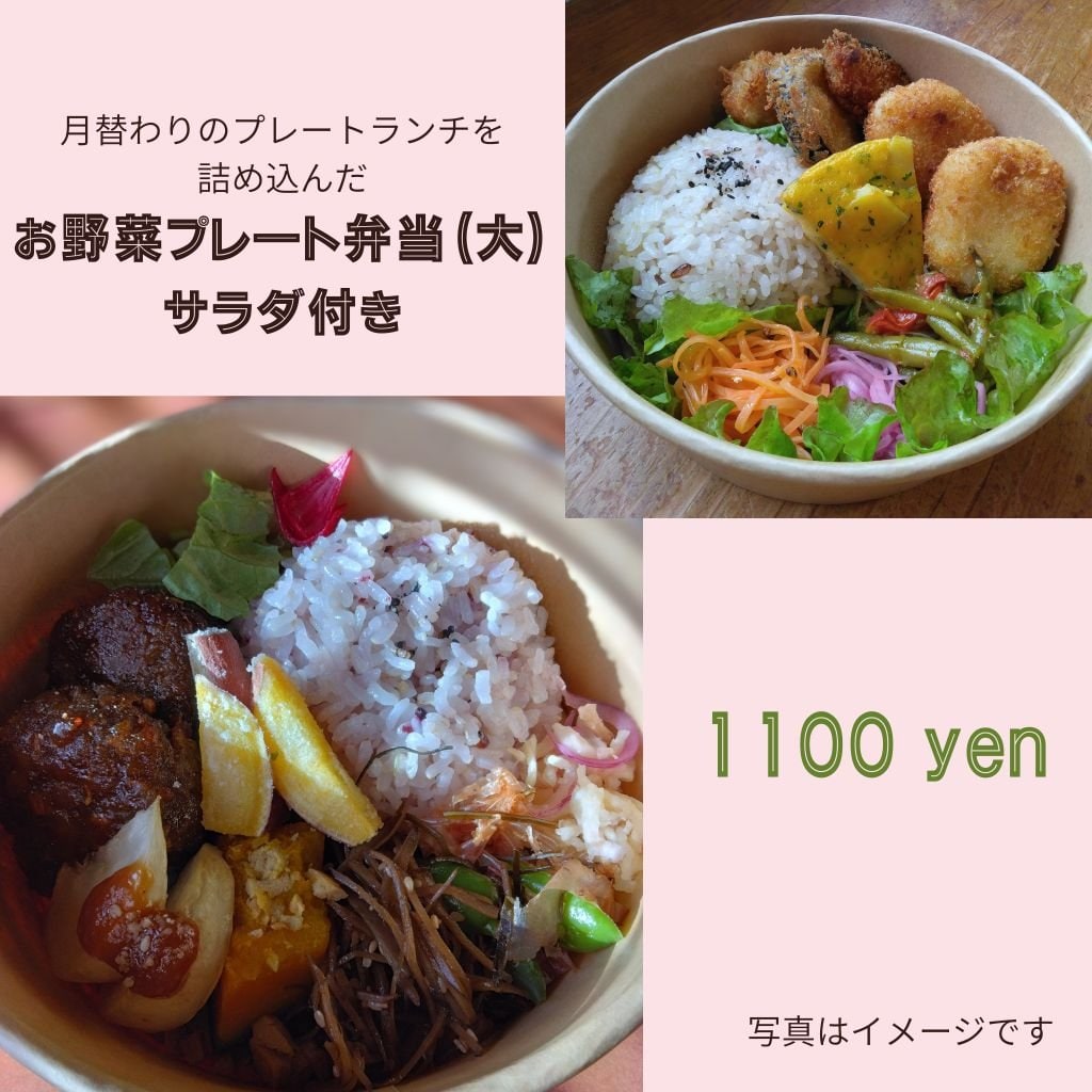 お野菜プレート弁当（大）