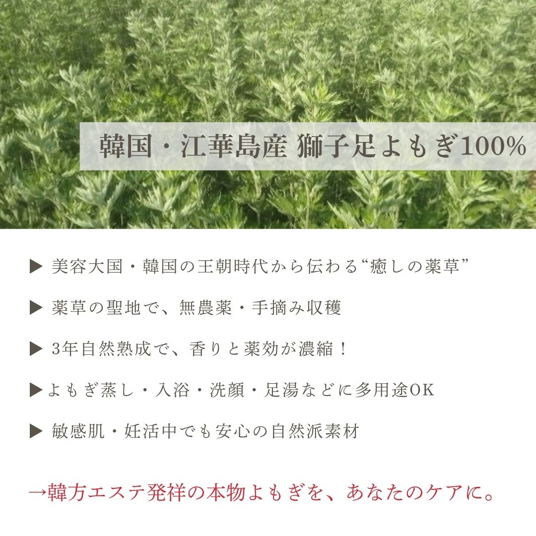 初めての方限定、お試し‼／送料込】韓方熟成よもぎ プレミアム40g