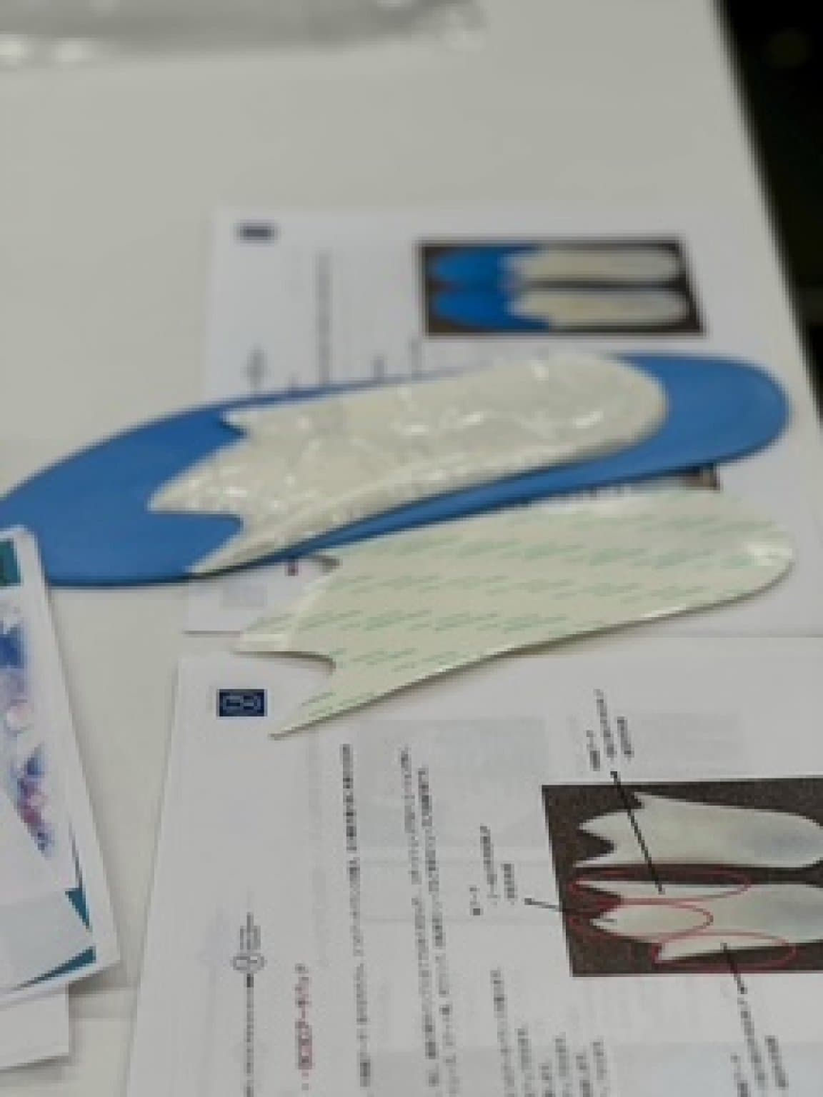 2026年3月1日(日)イレギュラー開催FBアジャスター養成ワークショップ参加Webチケット