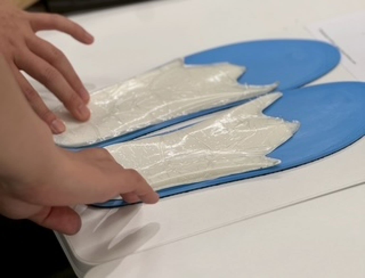 2026年3月1日(日)イレギュラー開催FBアジャスター養成ワークショップ参加Webチケット