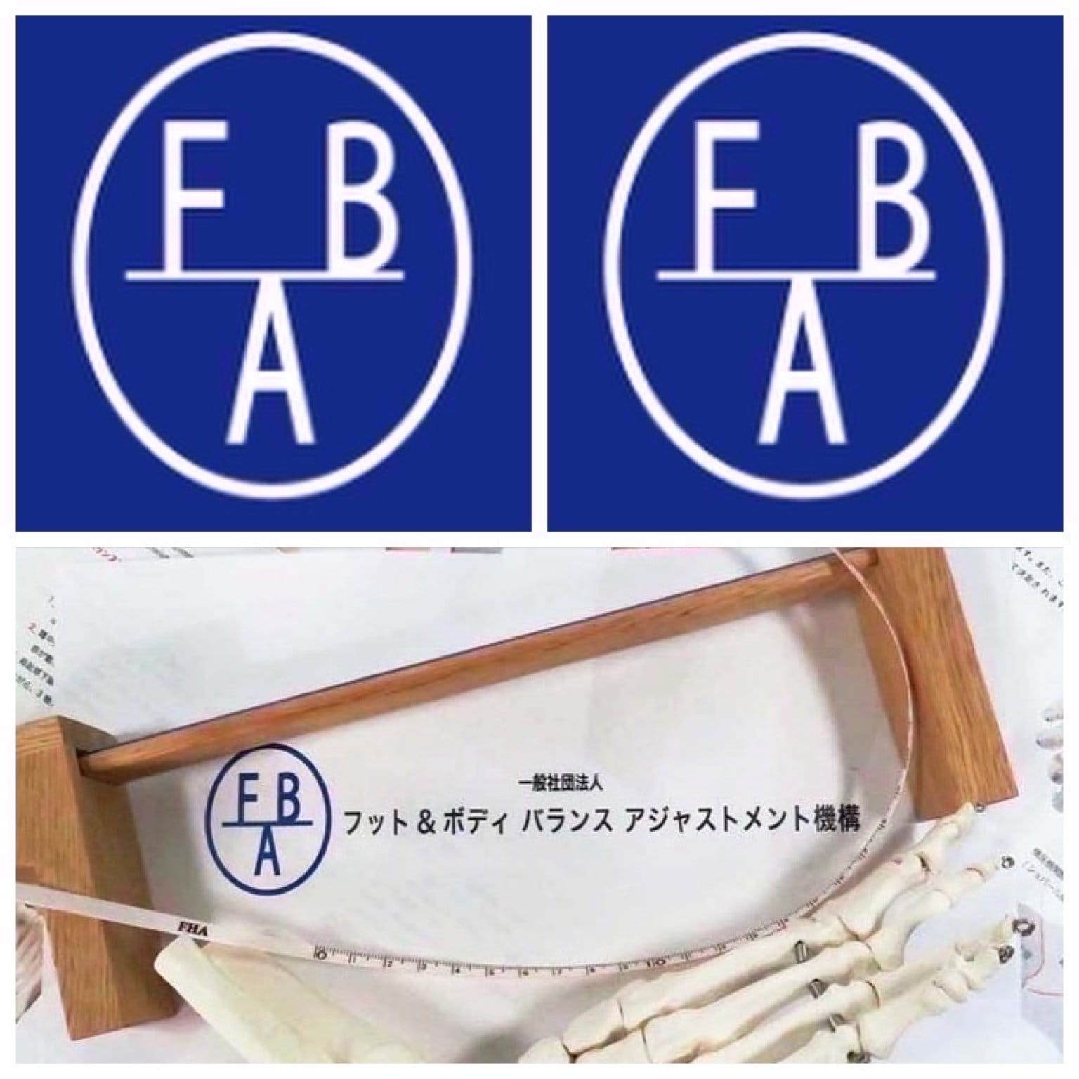 FBアジャスター養成WSとFBAスキルアップWSテキスト購入Webチケット