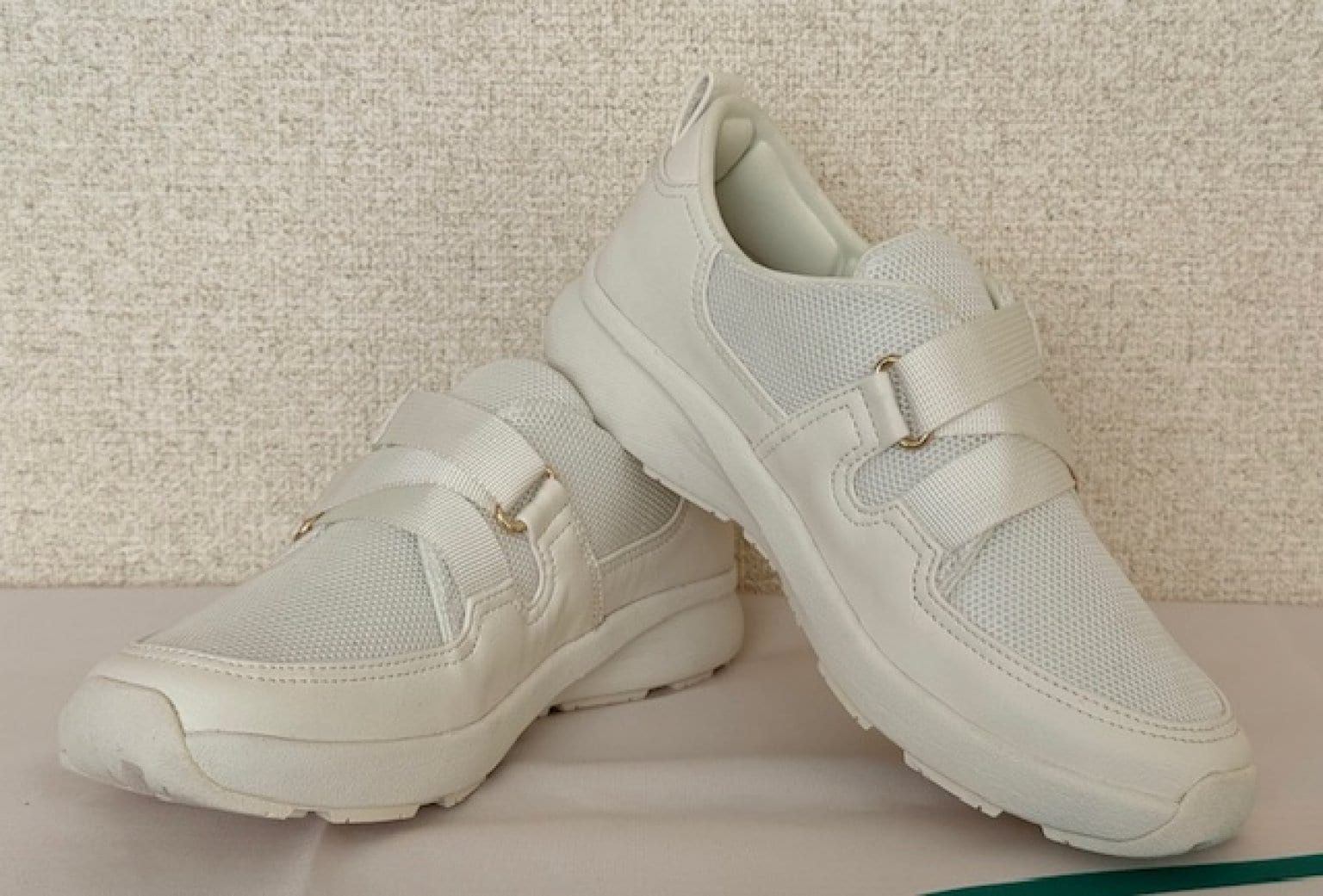 3月11日開催BCテクノロジーオンラインセミナー『バランスケアシューズ』動画Webチケット