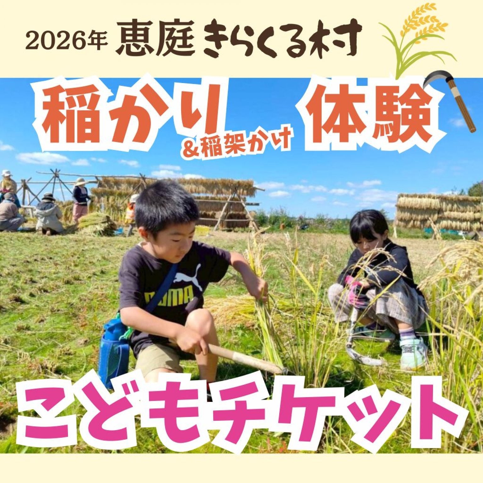 【9/26子どもチケット】きらくる村の稲刈り＆稲架掛け体験2026！