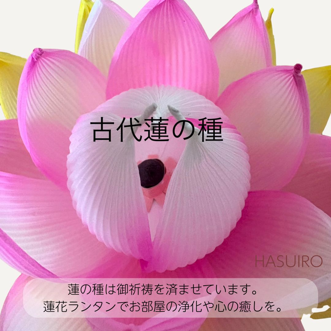 オンライン講座付き/蓮花ランタン制作キット 花びら加工済/花びらから
