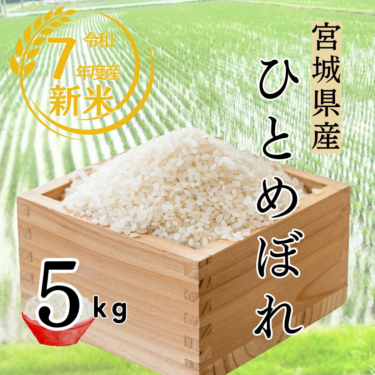 令和7年度 新米5kg  宮城県産ひとめぼれ 一等米 (白米または玄米) | 送料込み