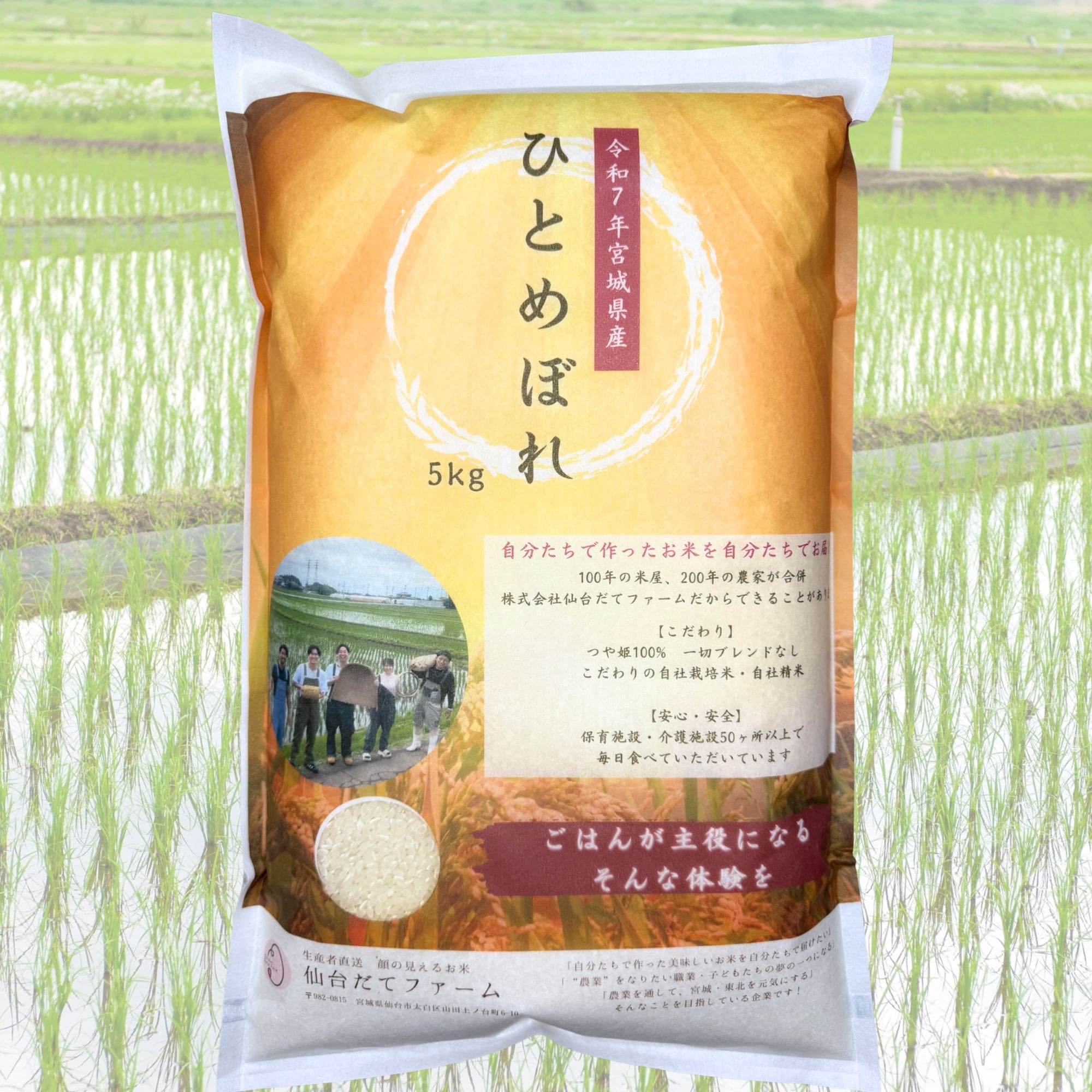 送料無料】想いを米て作ったR7年宮城県産ひとめぼれ5kg