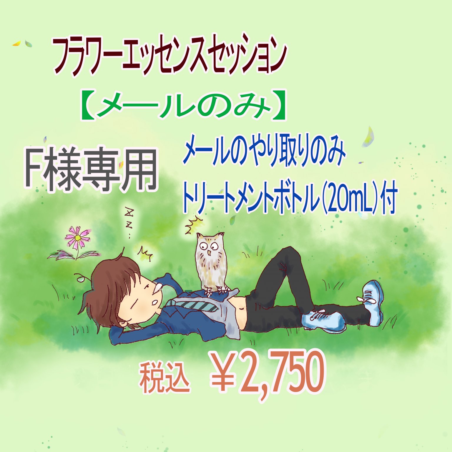 [F様専用]【メールのみ】フラワーエッセンスセッション｜みすまるのたま