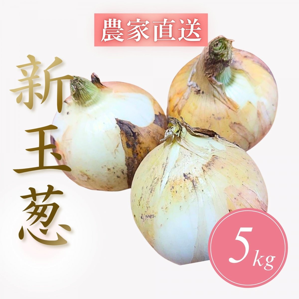 ツクツク!!!通販