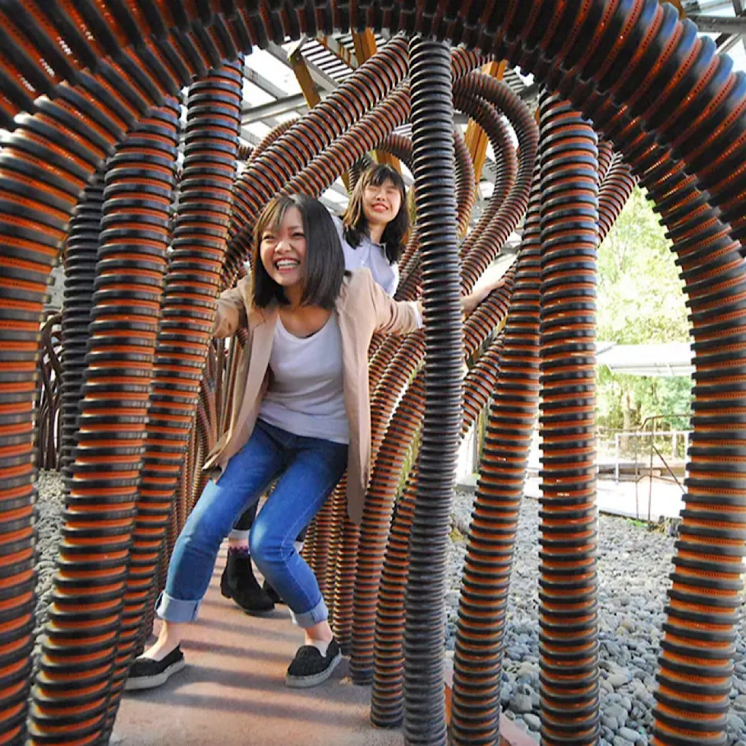 【大人】元気の森+ふれあい動物王国セット券