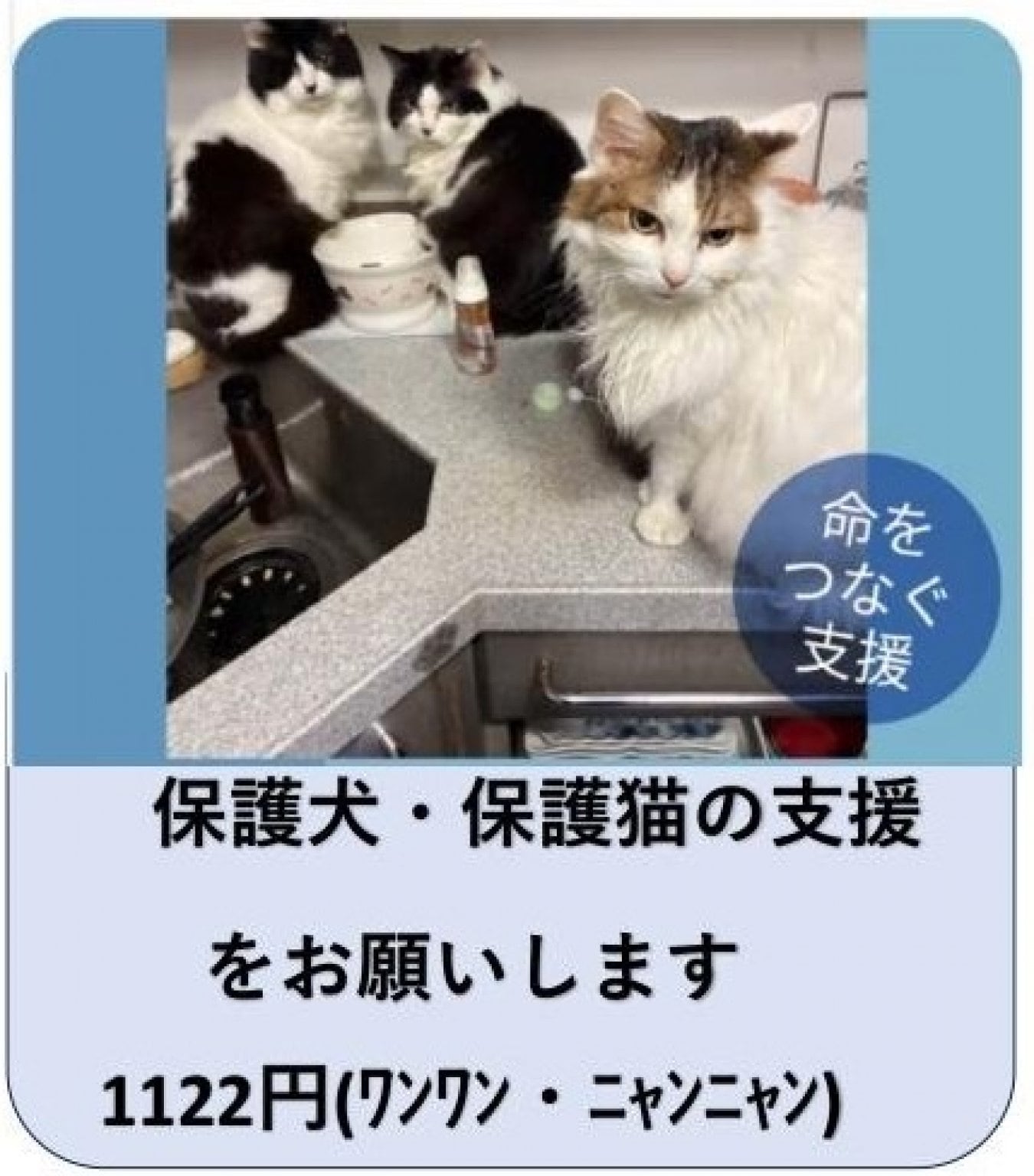 歌・語り本舗 / 動物本舗
