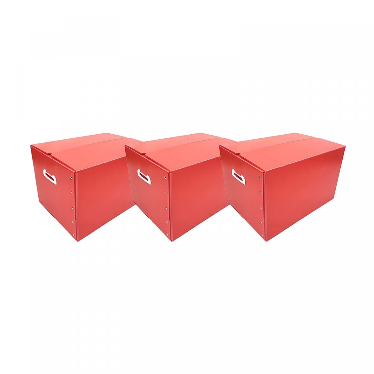 だんぼーる本舗 折りたたみ式 プラダン 収納BOX ３枚セット レッド 53×38×33cm 【書類整理・収納ボックス・収納・書類・衣類】