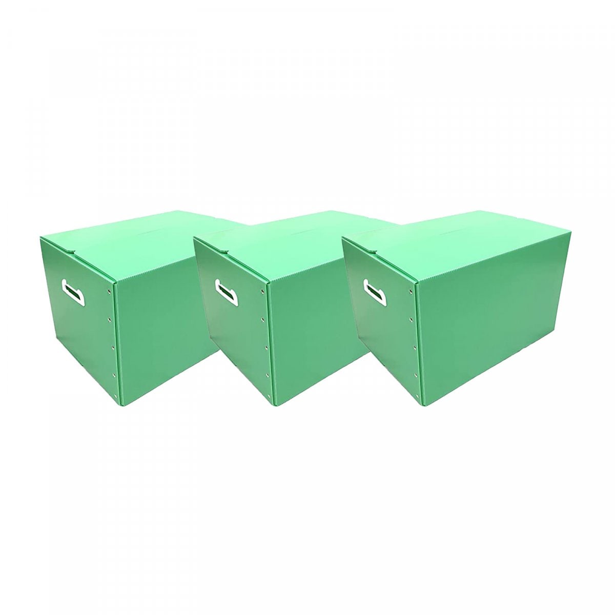 だんぼーる本舗 折りたたみ式 プラダン 収納BOX ３枚セット グリーン 53×38×33cm 【書類整理・収納ボックス・収納・書類・衣類】