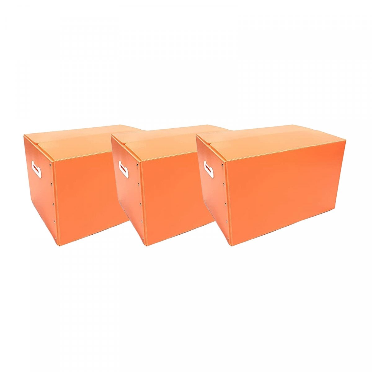 だんぼーる本舗 折りたたみ式 プラダン 収納BOX ３枚セット オレンジ 53×38×33cm 【書類整理・収納ボックス・収納・書類・衣類】