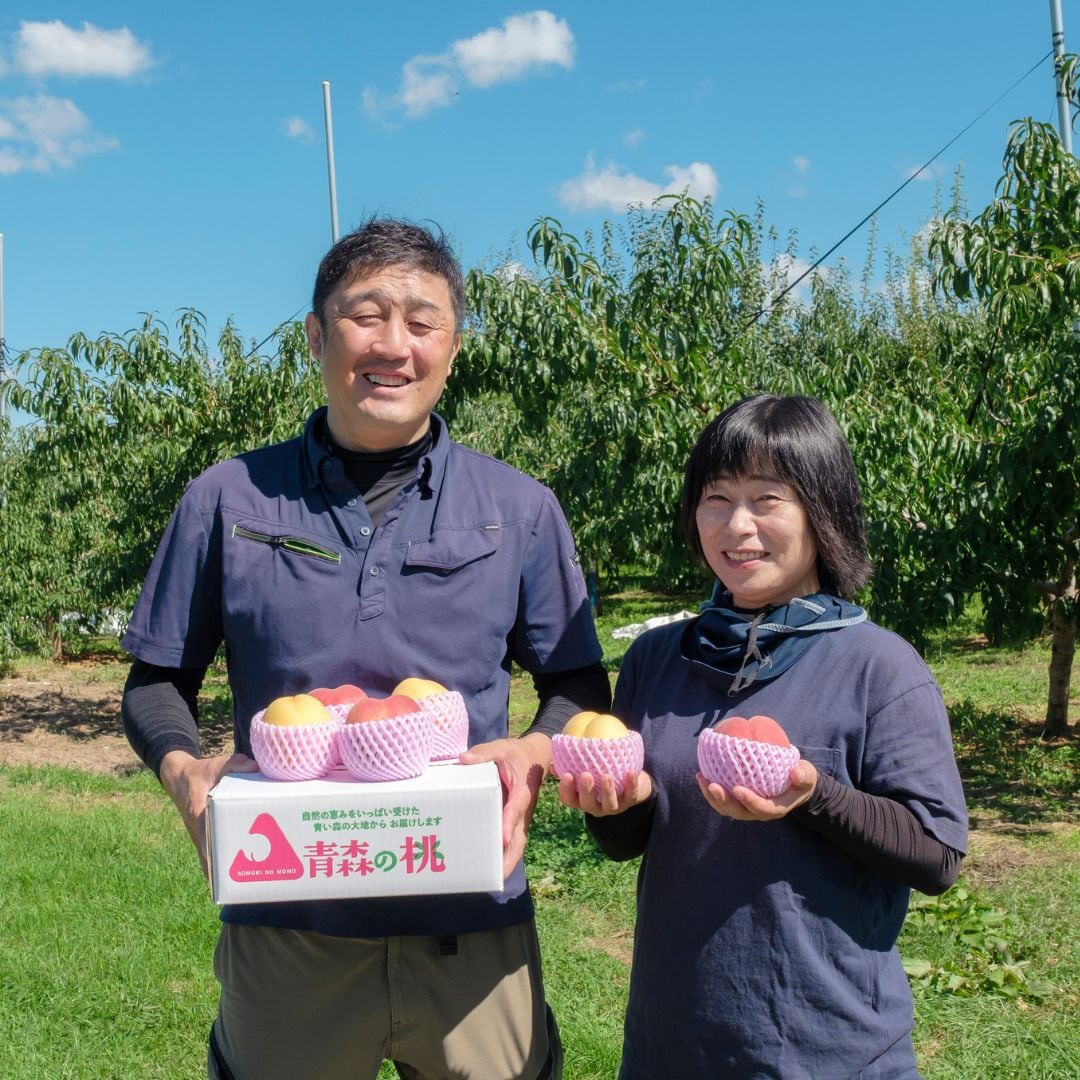 もちゃ　岩手県産胡桃樹皮　予約② 糖度20度以上】高級桃 1玉｜JACK｜青森県平川市 if-imaifarm（今井農園