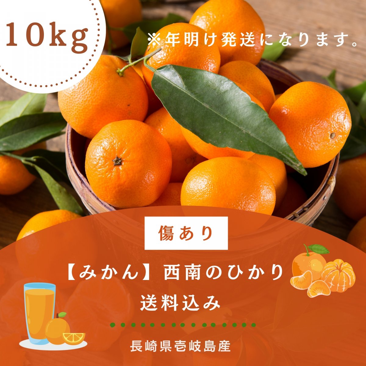 送料込み 傷あり【10kg】壱岐島産みかん「西南のひかり」島の太陽と潮風が育てた甘く華やかな味｜ポイント2倍｜うえむら屋