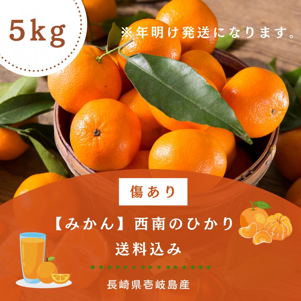 送料込み 傷あり【5kg】壱岐島産みかん「西南のひかり」島の太陽と潮風が育てた甘く華やかな味｜ポイント2倍｜うえむら屋