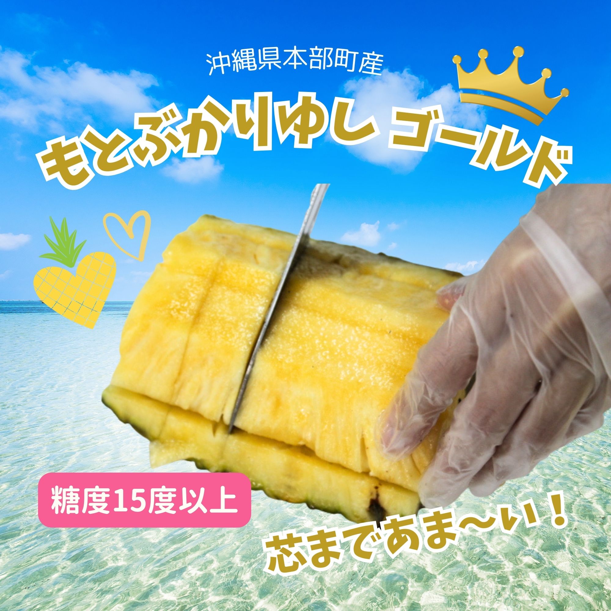 予約販売｜パインの最高品種】沖縄本部町産ブランドパイン「もとぶ