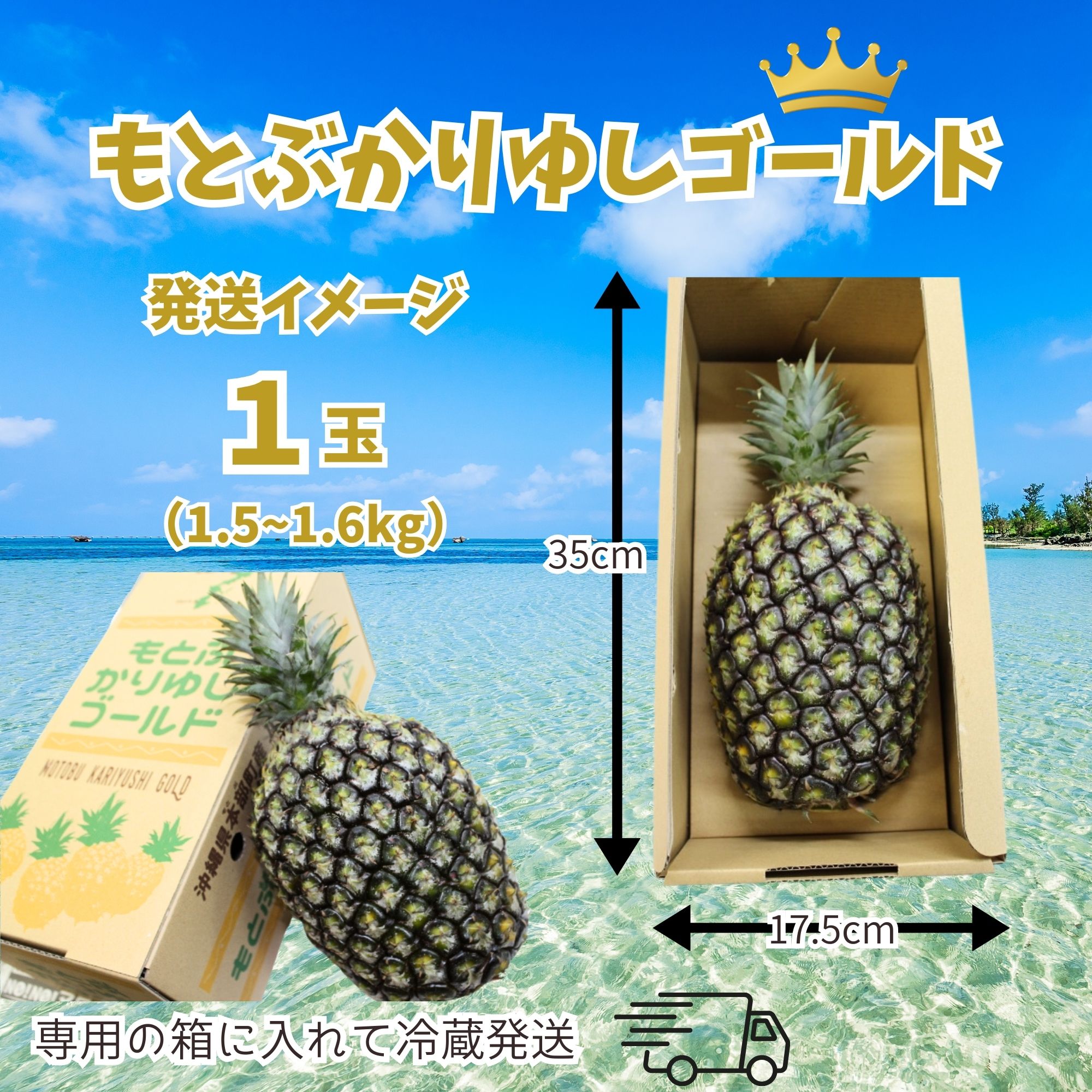 予約販売｜パインの最高品種】沖縄本部町産ブランドパイン「もとぶ