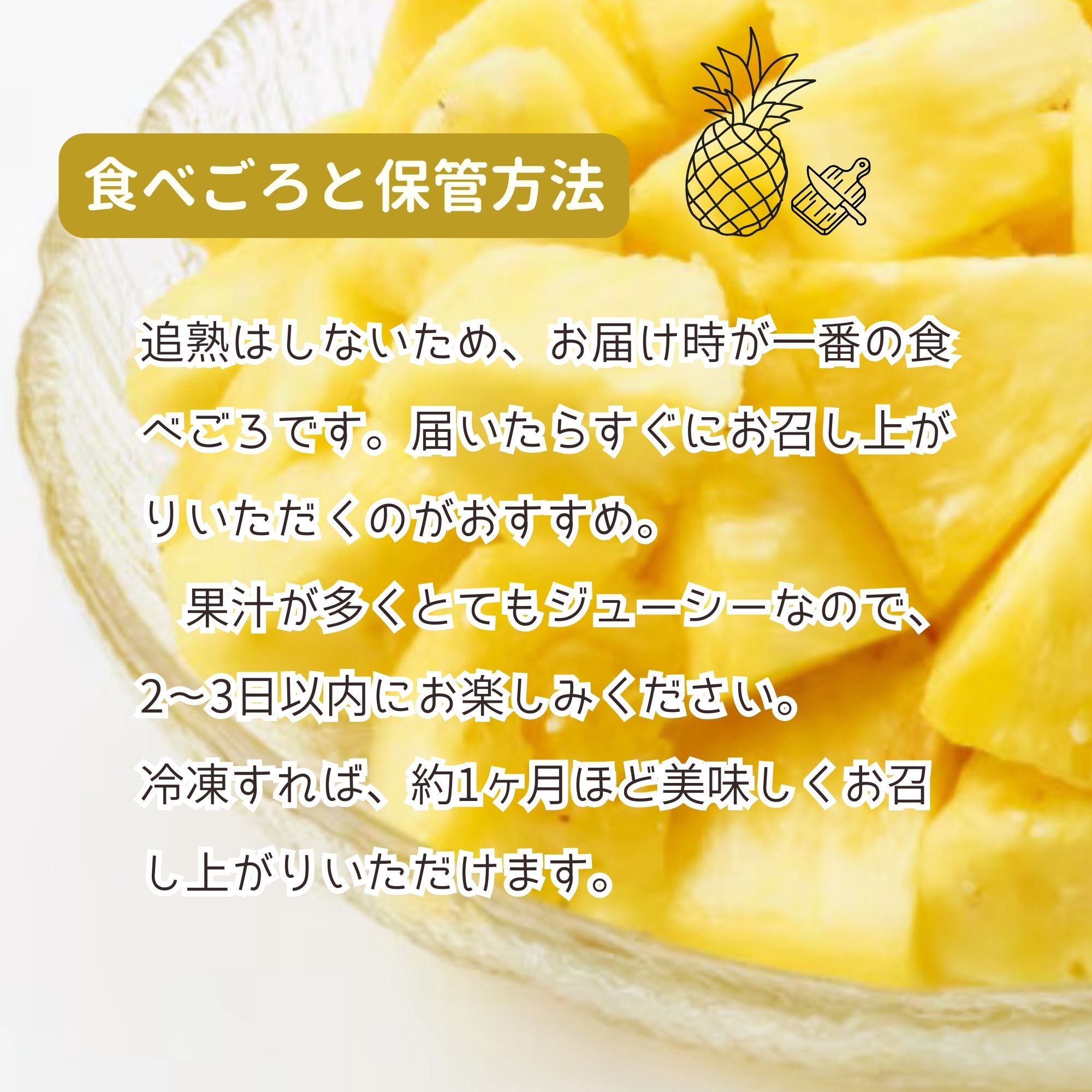 予約販売｜パインの最高品種】沖縄本部町産ブランドパイン「もとぶ