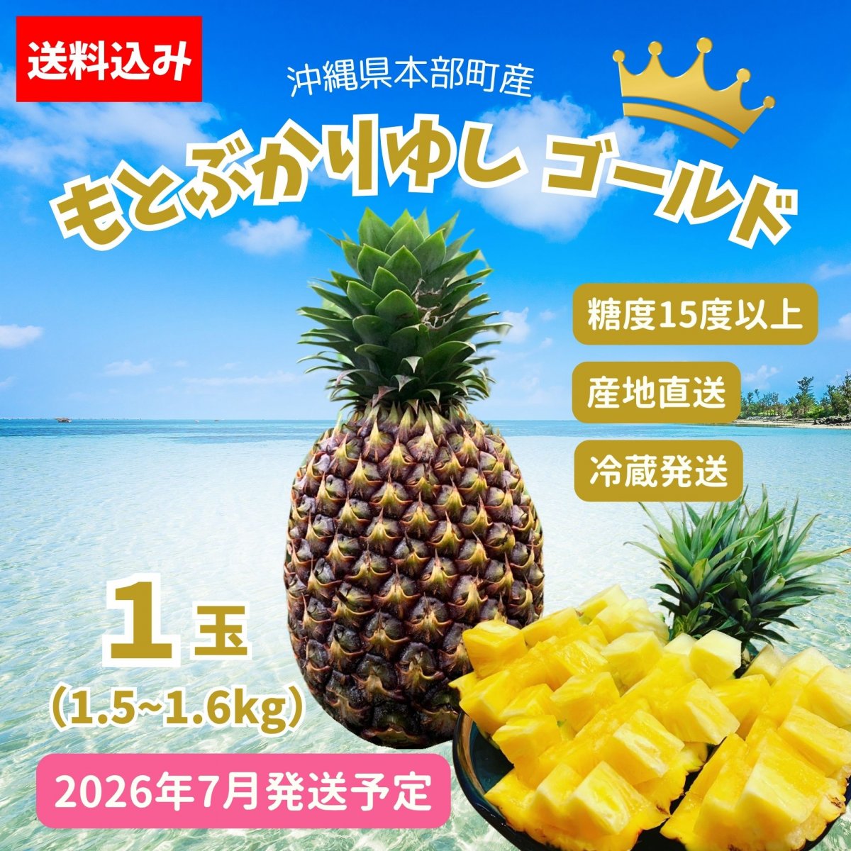 【予約販売｜パインの最高品種】沖縄本部町産ブランドパイン「もとぶかりゆしゴールド」１玉(1.5~1.6kg)｜2026年7月から冷蔵発送