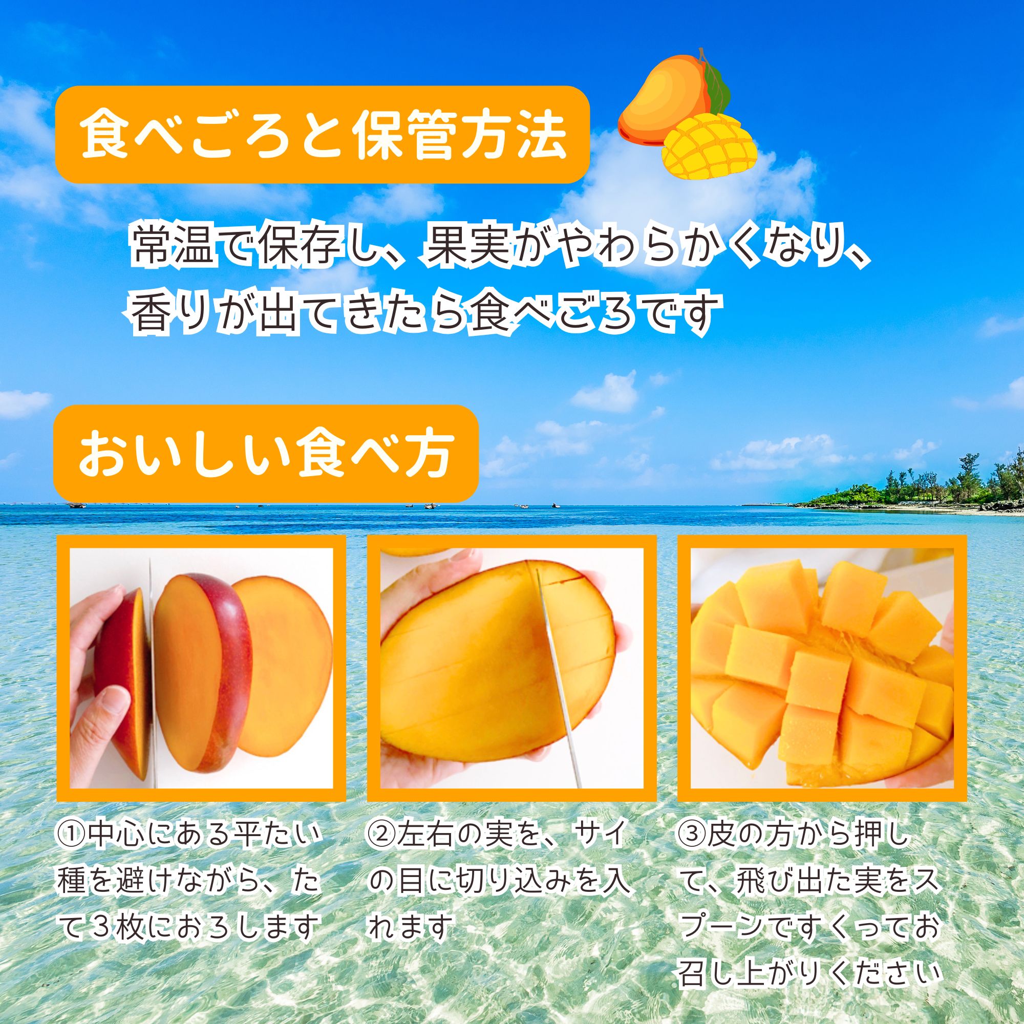 予約販売｜家庭用2kg(4〜5玉)】沖縄本部町産完熟マンゴー｜2026年7月