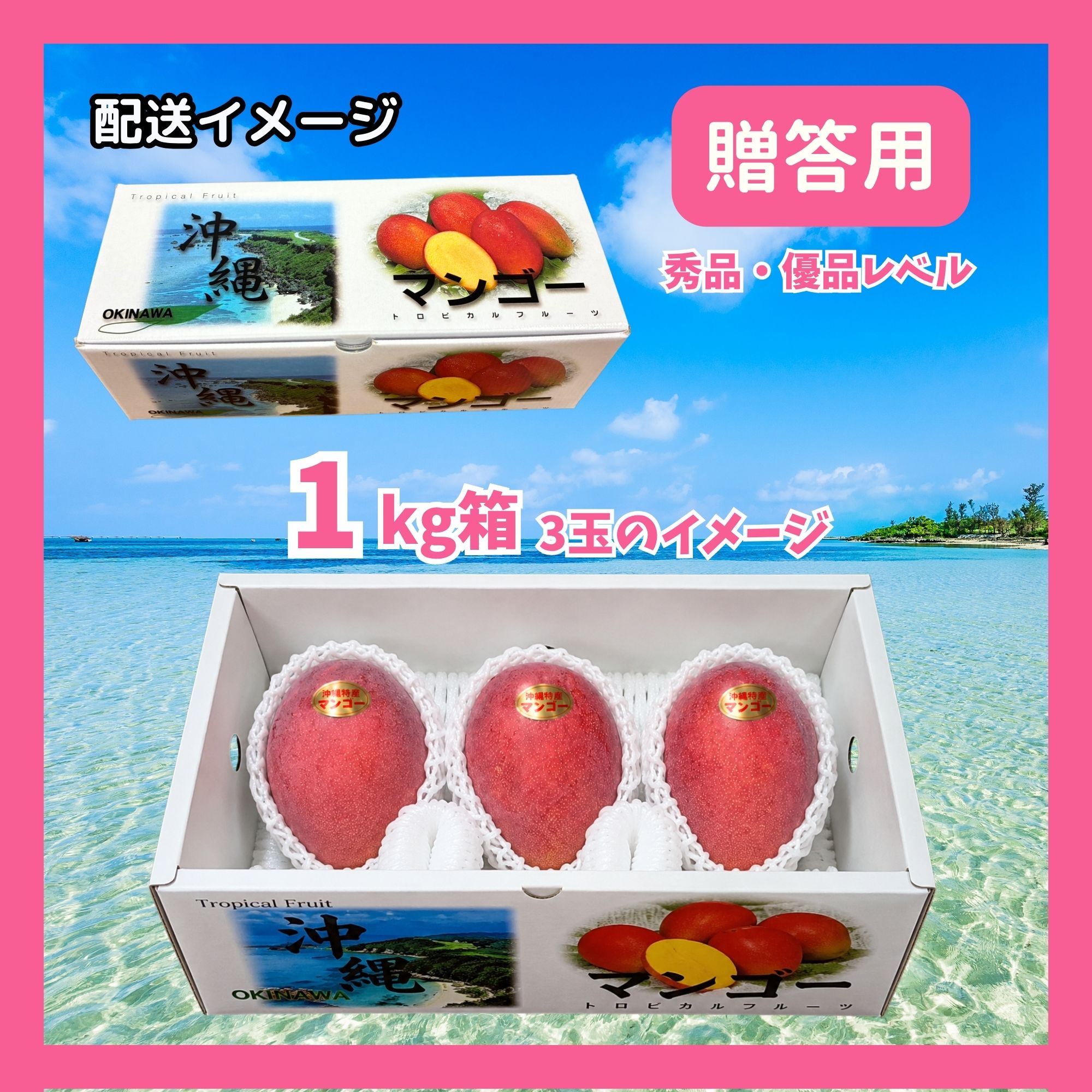 予約販売｜贈答用1kg(2〜3玉)】沖縄本部町産完熟マンゴー｜2026年7月