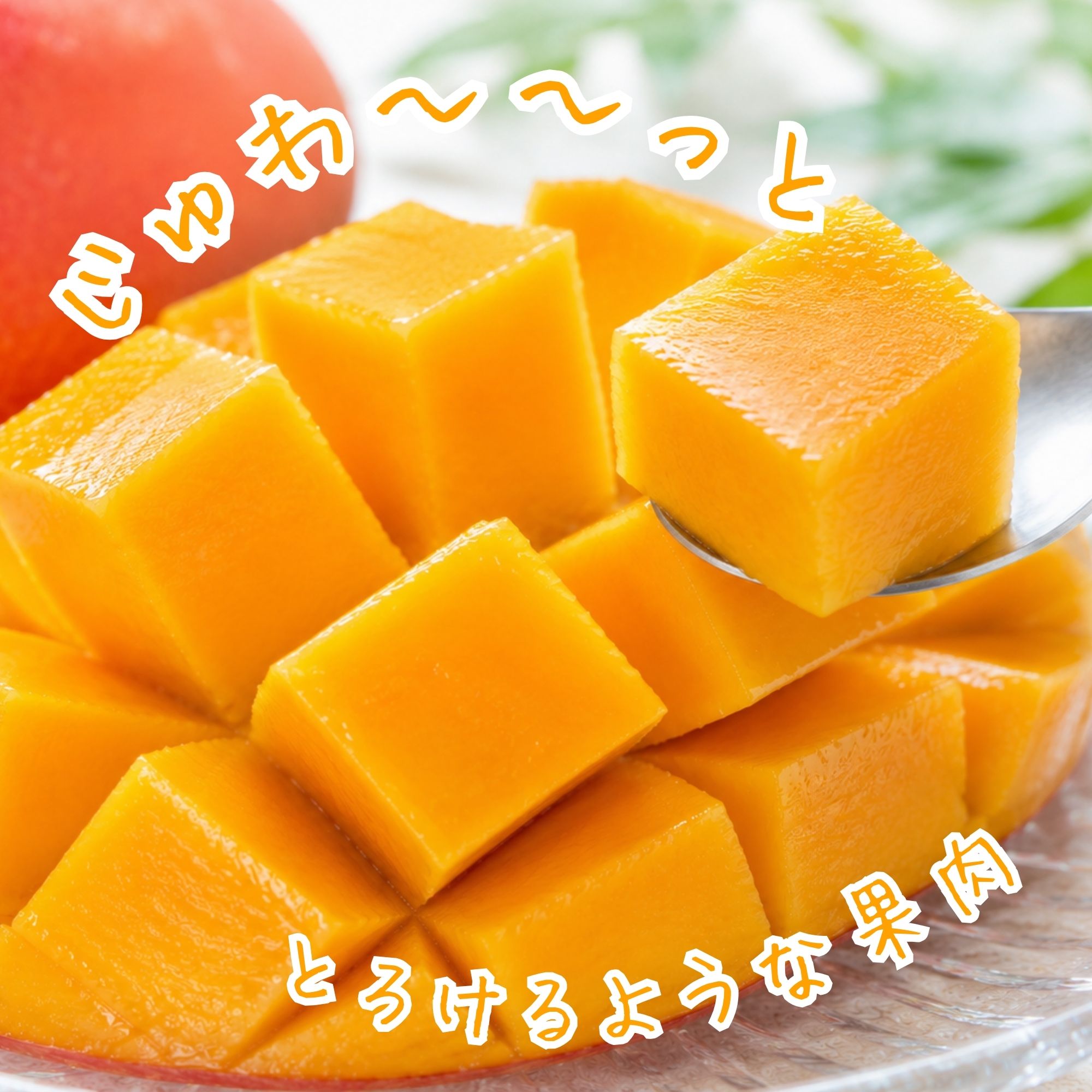予約販売｜家庭用2kg(4〜5玉)】沖縄本部町産完熟マンゴー｜2026年7月