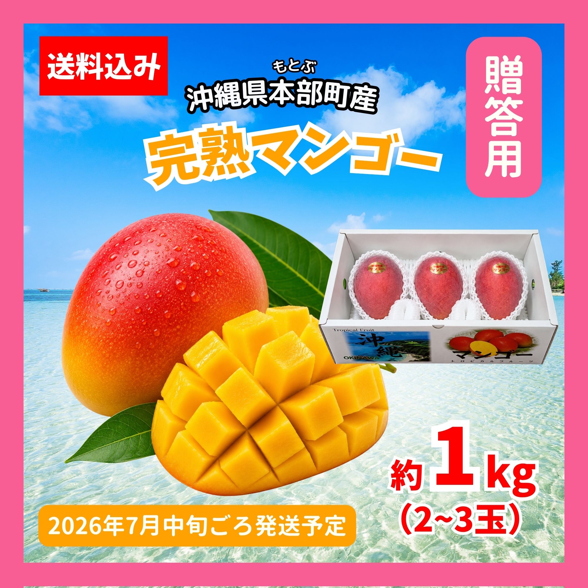 予約販売｜贈答用1kg(2〜3玉)】沖縄本部町産完熟マンゴー｜2026年7月