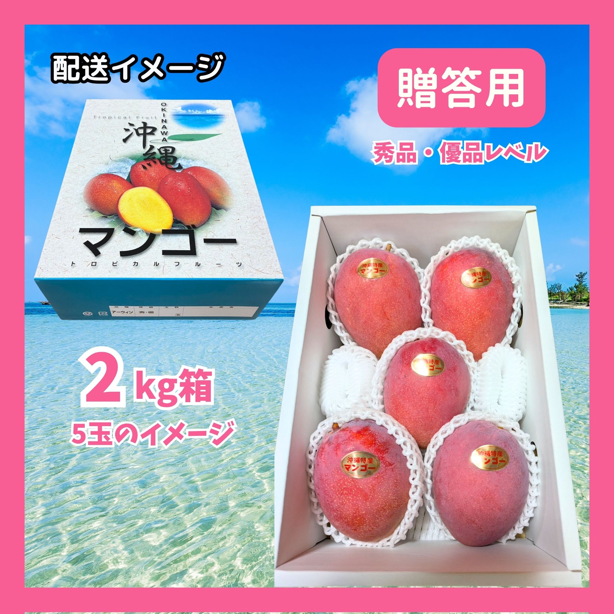 予約販売｜贈答用2kg(4〜5玉)】沖縄本部町産完熟マンゴー｜2026年7月