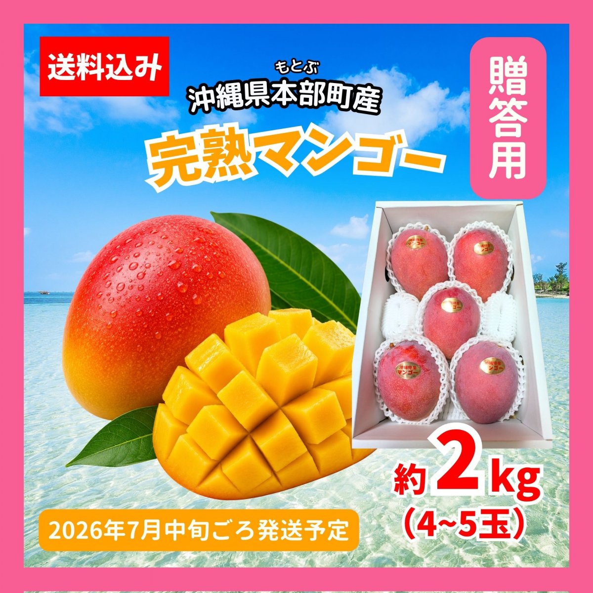 予約販売｜贈答用2kg(4〜5玉)】沖縄本部町産完熟マンゴー｜2026年7月