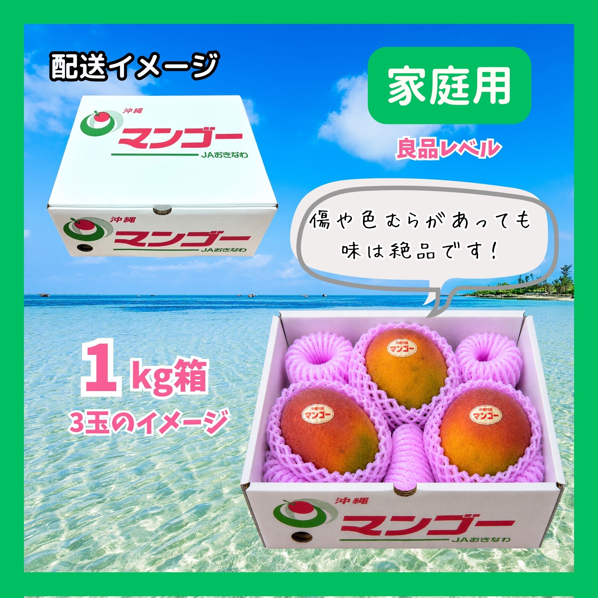 予約販売｜家庭用1kg(2〜3玉)】沖縄本部町産完熟マンゴー｜2026年7月
