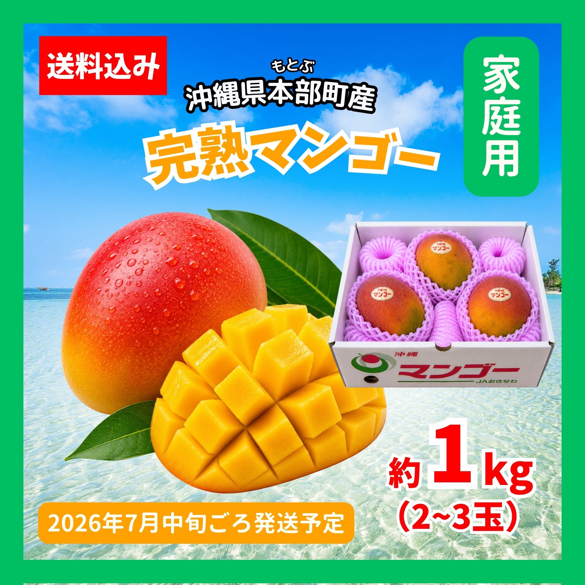 予約販売｜家庭用1kg(2〜3玉)】沖縄本部町産完熟マンゴー｜2026年7月