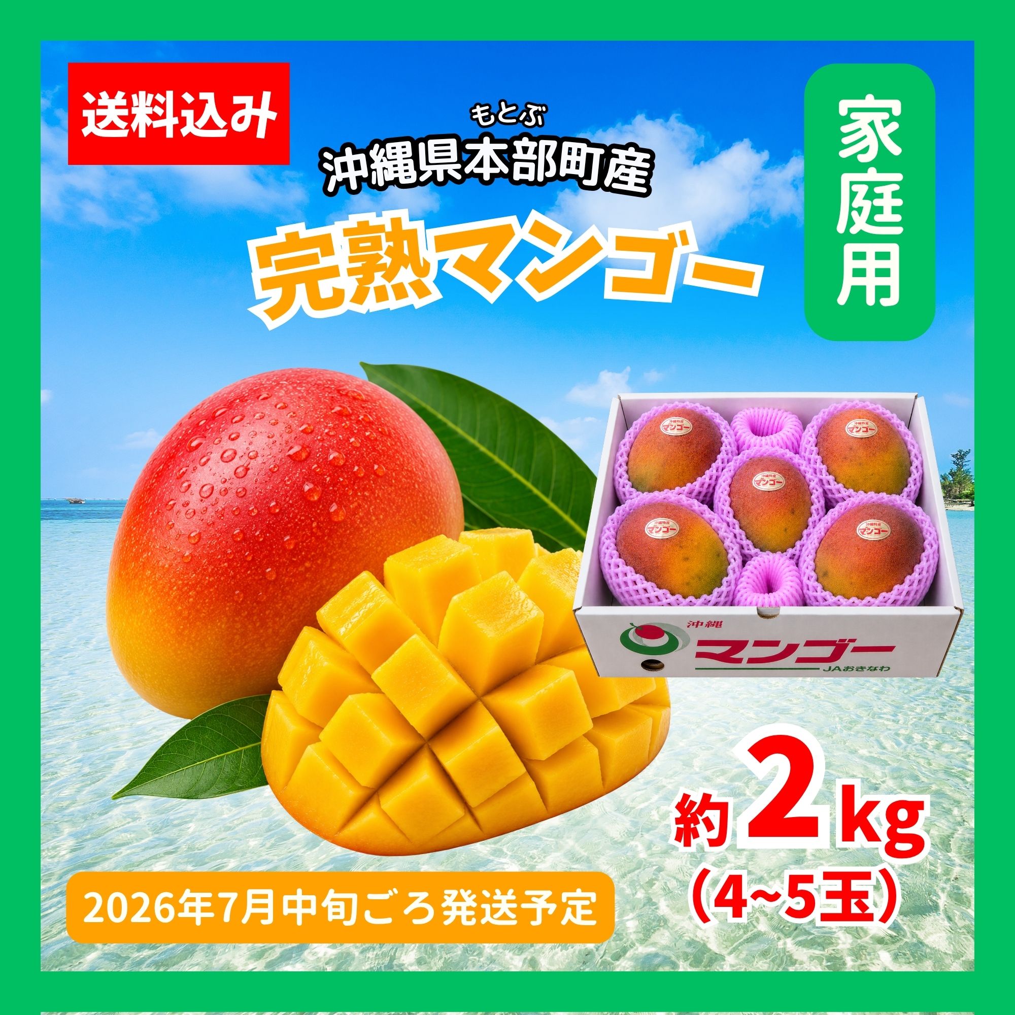 予約販売｜家庭用2kg(4〜5玉)】沖縄本部町産完熟マンゴー｜2026年7月