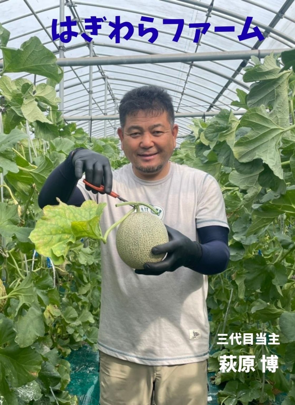 （小学生用チケット）千葉県銚子市・潮風吹き抜けるさわやかな農園【はぎわらファームの減農薬メロン収穫体験＆月音ヴィーガンランチ付き】６月20日(土)11:00 〜15:00